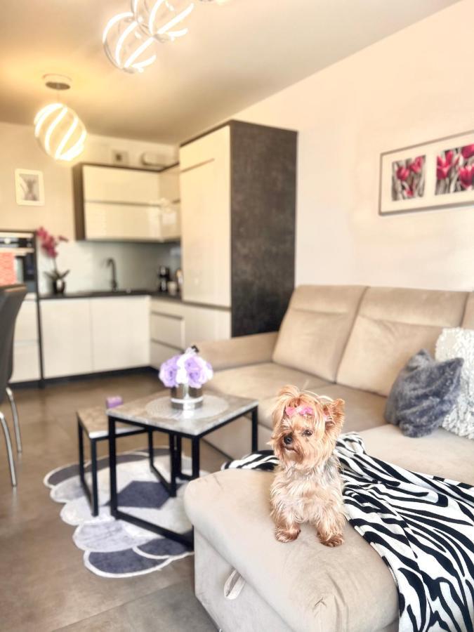 Downtownapartments Andy Air-Conditioned, Underground Parking Available Rzeszów Exterior foto